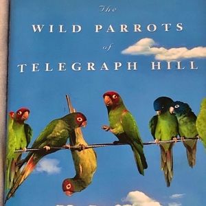 🦜The wild parrots of telegraph Hill🦜 Bird Book
